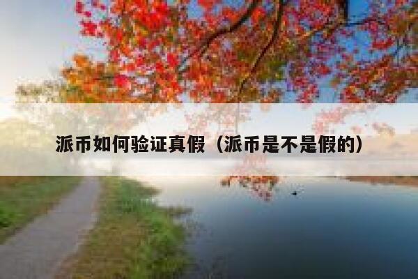 派币如何验证真假（派币是不是假的） 第1张