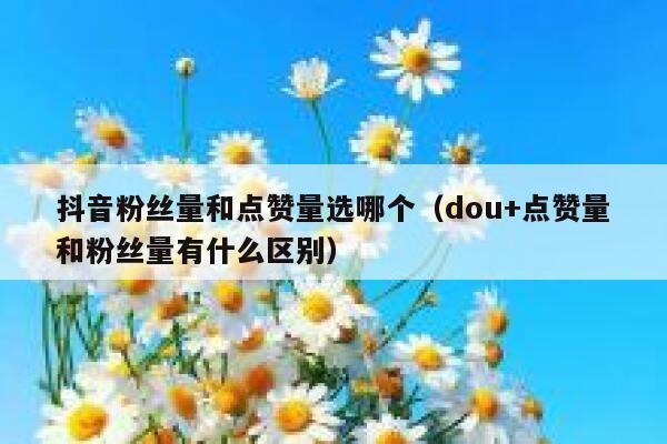 抖音粉丝量和点赞量选哪个（dou+点赞量和粉丝量有什么区别） 第1张