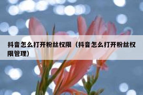 抖音怎么打开粉丝权限（抖音怎么打开粉丝权限管理） 第1张
