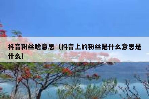 抖音粉丝啥意思（抖音上的粉丝是什么意思是什么） 第1张