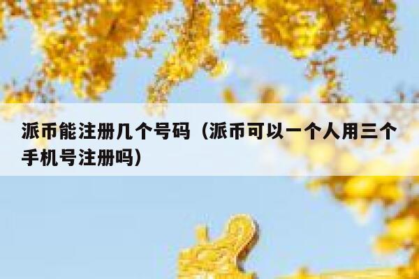 派币能注册几个号码（派币可以一个人用三个手机号注册吗） 第1张