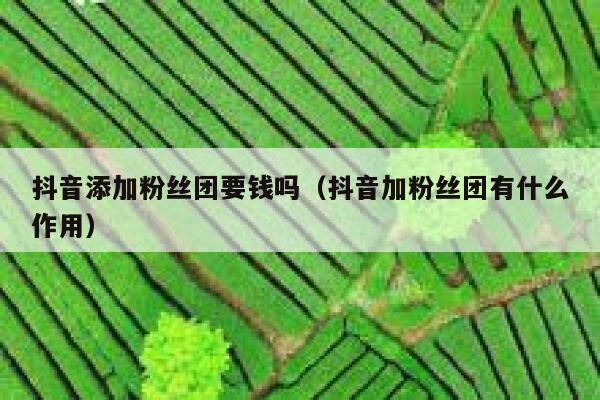 抖音添加粉丝团要钱吗（抖音加粉丝团有什么作用） 第1张