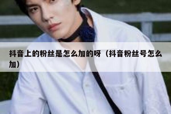 抖音上的粉丝是怎么加的呀（抖音粉丝号怎么加） 第1张
