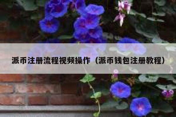 派币注册流程视频操作（派币钱包注册教程） 第1张