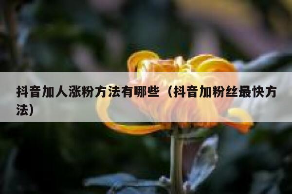抖音加人涨粉方法有哪些（抖音加粉丝最快方法） 第1张