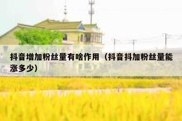 抖音增加粉丝量有啥作用（抖音抖加粉丝量能涨多少） 第1张