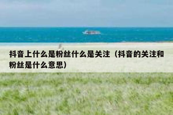 抖音上什么是粉丝什么是关注（抖音的关注和粉丝是什么意思） 第1张
