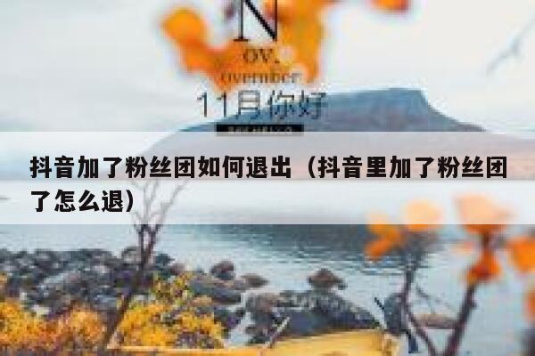抖音加了粉丝团如何退出（抖音里加了粉丝团了怎么退） 第1张