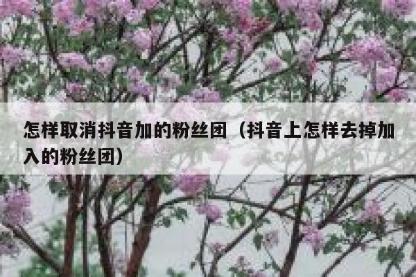 怎样取消抖音加的粉丝团（抖音上怎样去掉加入的粉丝团） 第1张