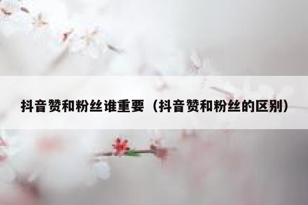 抖音赞和粉丝谁重要（抖音赞和粉丝的区别） 第1张