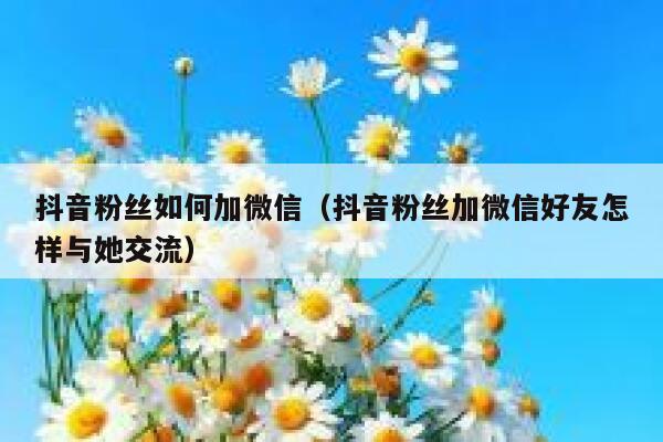 抖音粉丝如何加微信（抖音粉丝加微信好友怎样与她交流） 第1张