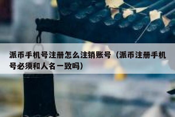 派币手机号注册怎么注销账号（派币注册手机号必须和人名一致吗） 第1张