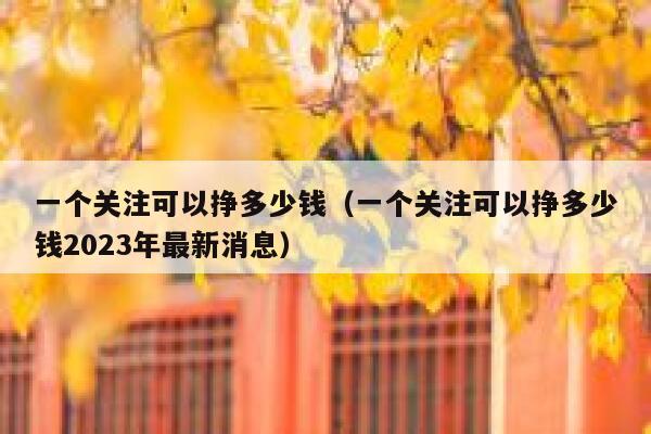 一个关注可以挣多少钱（一个关注可以挣多少钱2023年最新消息） 第1张