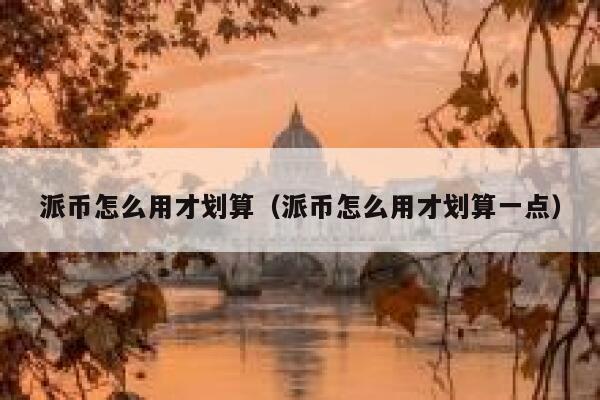 派币怎么用才划算（派币怎么用才划算一点） 第1张