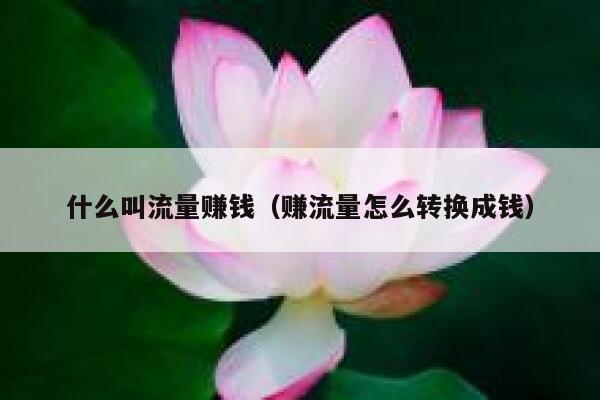 什么叫流量赚钱（赚流量怎么转换成钱） 第1张