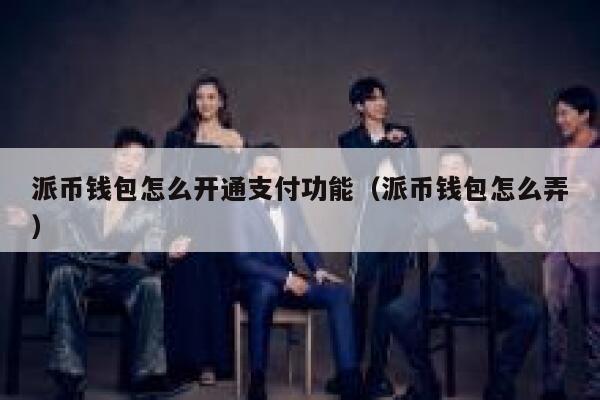 派币钱包怎么开通支付功能（派币钱包怎么弄） 第1张