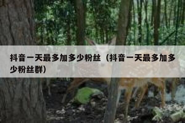 抖音一天最多加多少粉丝（抖音一天最多加多少粉丝群） 第1张