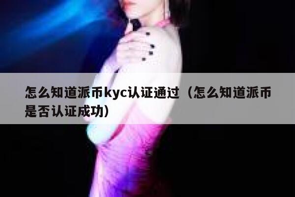 怎么知道派币kyc认证通过（怎么知道派币是否认证成功） 第1张