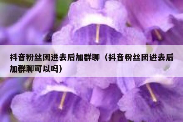 抖音粉丝团进去后加群聊（抖音粉丝团进去后加群聊可以吗） 第1张