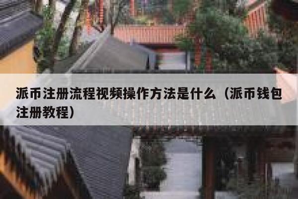 派币注册流程视频操作方法是什么（派币钱包注册教程） 第1张