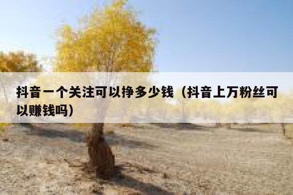 抖音一个关注可以挣多少钱（抖音上万粉丝可以赚钱吗） 第1张