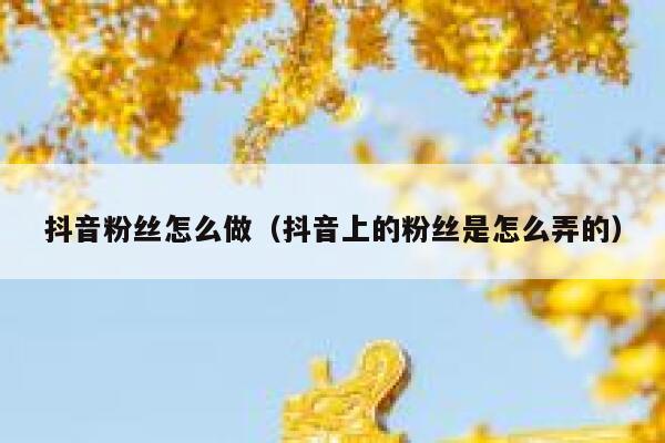 抖音粉丝怎么做（抖音上的粉丝是怎么弄的） 第1张