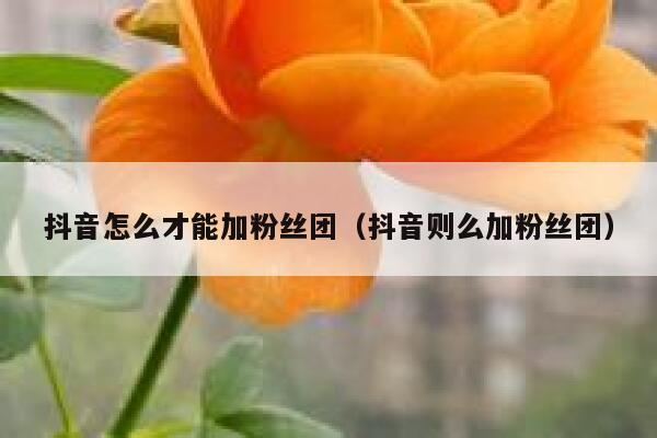 抖音怎么才能加粉丝团（抖音则么加粉丝团） 第1张