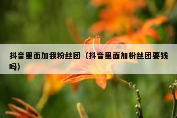 抖音里面加我粉丝团(抖音里面加粉丝团要钱吗) 第1张 抖音里面加我粉丝团(抖音里面加粉丝团要钱吗) 第1张
