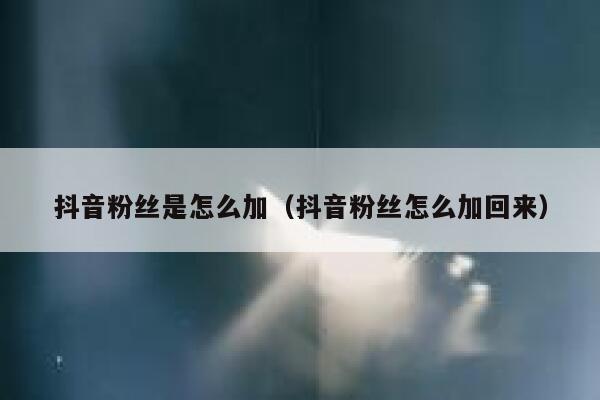 抖音粉丝是怎么加(抖音粉丝怎么加回来) 第1张 抖音粉丝是怎么加(抖音粉丝怎么加回来) 第1张