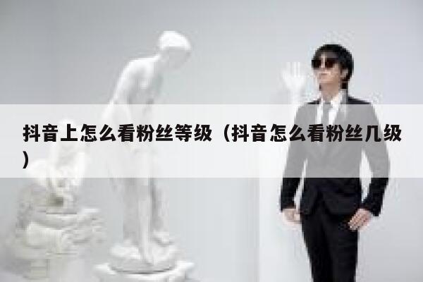 抖音上怎么看粉丝等级(抖音怎么看粉丝几级) 第1张 抖音上怎么看粉丝等级(抖音怎么看粉丝几级) 第1张