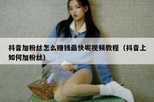 抖音加粉丝怎么赚钱最快呢视频教程(抖音上如何加粉丝) 第1张 抖音加粉丝怎么赚钱最快呢视频教程(抖音上如何加粉丝) 第1张