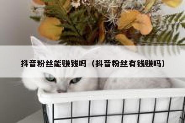 抖音粉丝能赚钱吗(抖音粉丝有钱赚吗) 第1张 抖音粉丝能赚钱吗(抖音粉丝有钱赚吗) 第1张