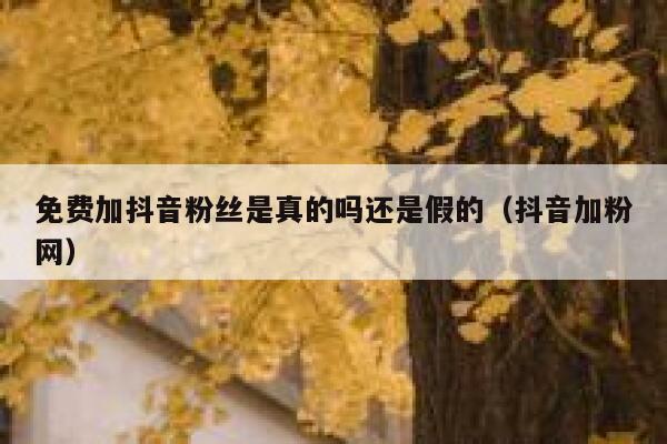 免费加抖音粉丝是真的吗还是假的(抖音加粉网) 第1张 免费加抖音粉丝是真的吗还是假的(抖音加粉网) 第1张