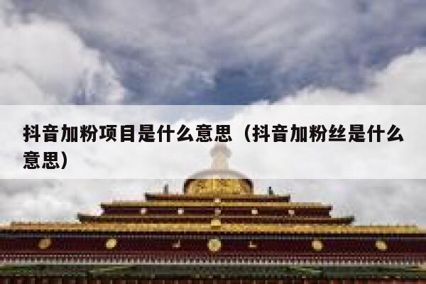 抖音加粉项目是什么意思(抖音加粉丝是什么意思) 第1张 抖音加粉项目是什么意思(抖音加粉丝是什么意思) 第1张