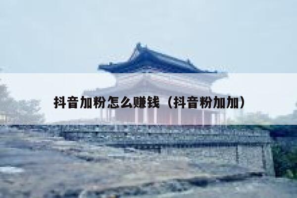 抖音加粉怎么赚钱（抖音粉加加） 第1张