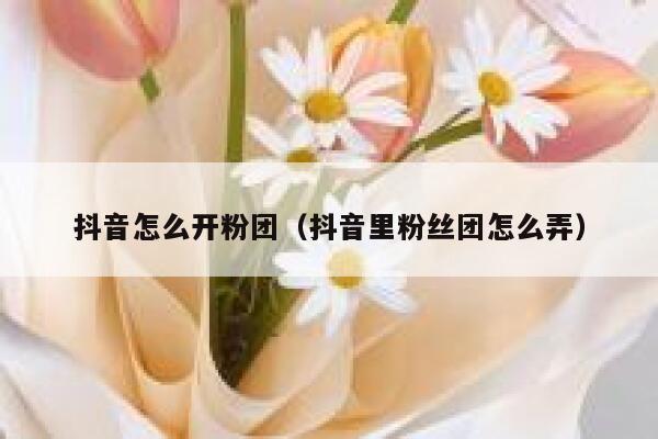 抖音怎么开粉团（抖音里粉丝团怎么弄） 第1张