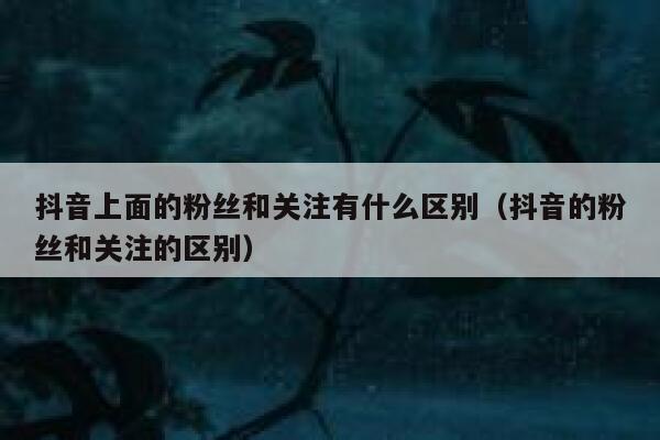 抖音上面的粉丝和关注有什么区别（抖音的粉丝和关注的区别） 第1张