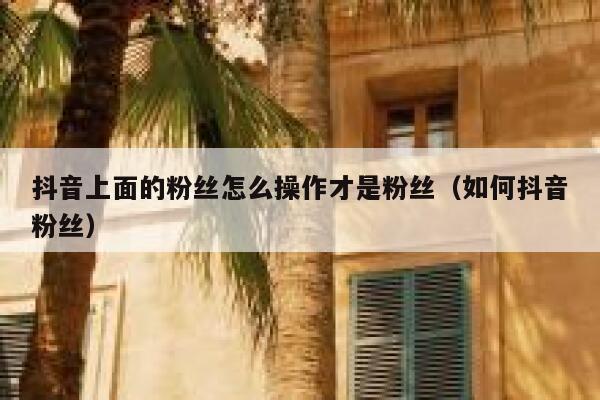 抖音上面的粉丝怎么操作才是粉丝（如何抖音粉丝） 第1张