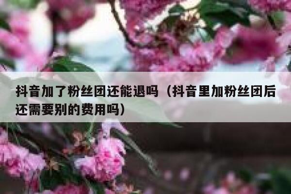 抖音加了粉丝团还能退吗（抖音里加粉丝团后还需要别的费用吗） 第1张