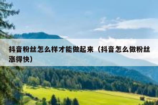 抖音粉丝怎么样才能做起来(抖音怎么做粉丝涨得快) 第1张 抖音粉丝怎么样才能做起来(抖音怎么做粉丝涨得快) 第1张
