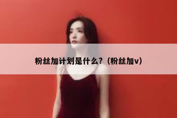 粉丝加计划是什么?（粉丝加v） 第1张