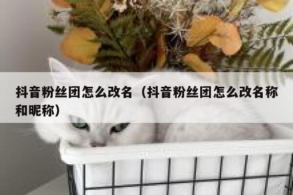抖音粉丝团怎么改名（抖音粉丝团怎么改名称和昵称） 第1张