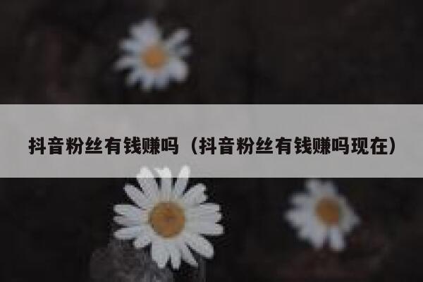 抖音粉丝有钱赚吗（抖音粉丝有钱赚吗现在） 第1张