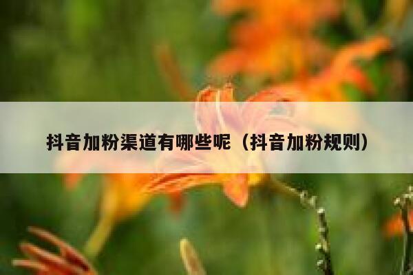 抖音加粉渠道有哪些呢(抖音加粉规则) 第1张 抖音加粉渠道有哪些呢(抖音加粉规则) 第1张