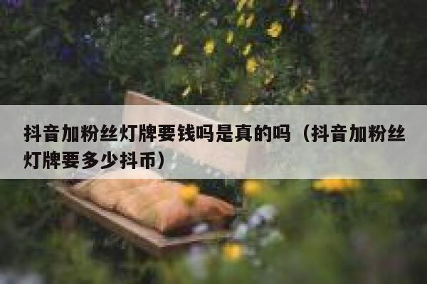 抖音加粉丝灯牌要钱吗是真的吗（抖音加粉丝灯牌要多少抖币） 第1张