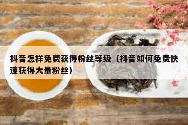 抖音怎样免费获得粉丝等级（抖音如何免费快速获得大量粉丝） 第1张