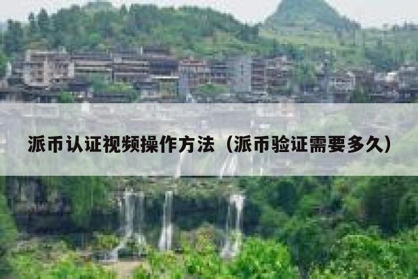 派币认证视频操作方法(派币验证需要多久) 第1张 派币认证视频操作方法(派币验证需要多久) 第1张