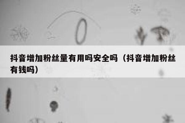 抖音增加粉丝量有用吗安全吗(抖音增加粉丝有钱吗) 第1张 抖音增加粉丝量有用吗安全吗(抖音增加粉丝有钱吗) 第1张