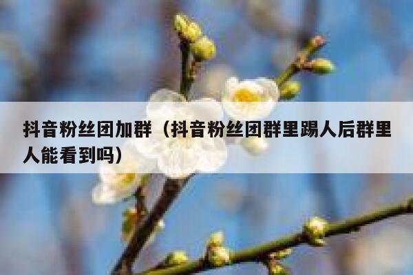 抖音粉丝团加群(抖音粉丝团群里踢人后群里人能看到吗) 第1张 抖音粉丝团加群(抖音粉丝团群里踢人后群里人能看到吗) 第1张