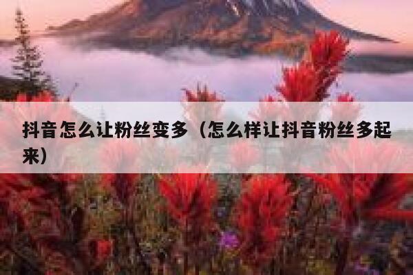 抖音怎么让粉丝变多（怎么样让抖音粉丝多起来） 第1张
